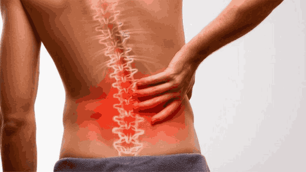 قرص سلکسیب برای دیسک کمر 