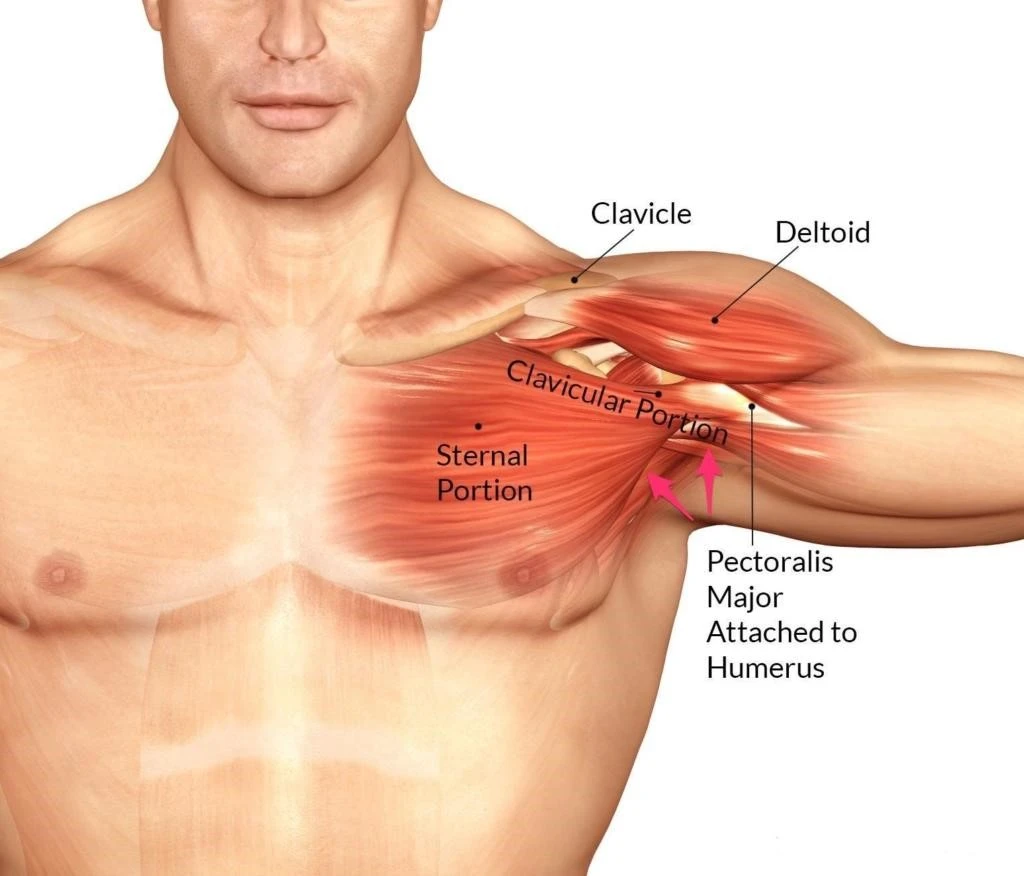 cause-right-shoulder-armpit-pain